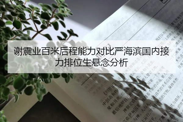 谢震业百米后程能力对比严海滨国内接力排位生悬念分析