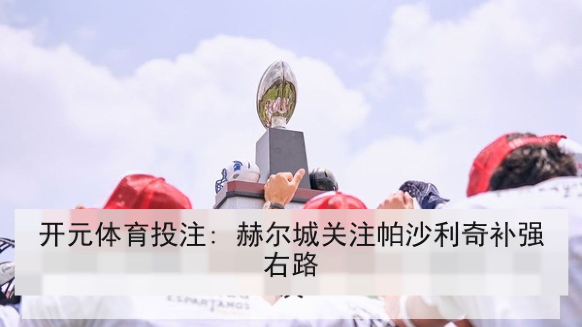 开元体育投注: 赫尔城关注帕沙利奇补强右路