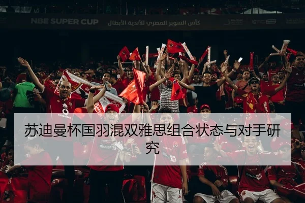 苏迪曼杯国羽混双雅思组合状态与对手研究