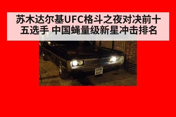 苏木达尔基UFC格斗之夜对决前十五选手 中国蝇量级新星冲击排名